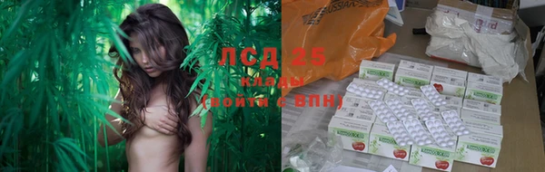 эйфоретик Аркадак