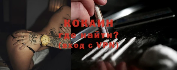 ешки Новодвинск