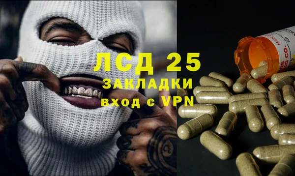 эйфоретик Арсеньев
