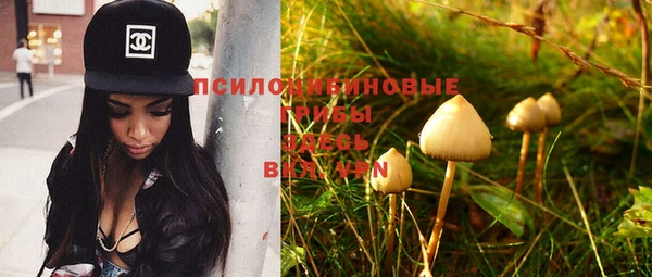 spice Новозыбков