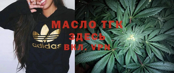 прущие грибы Армянск